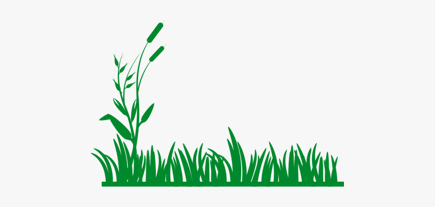 Grass Vector Background - Black And White Grass, HD Png Download