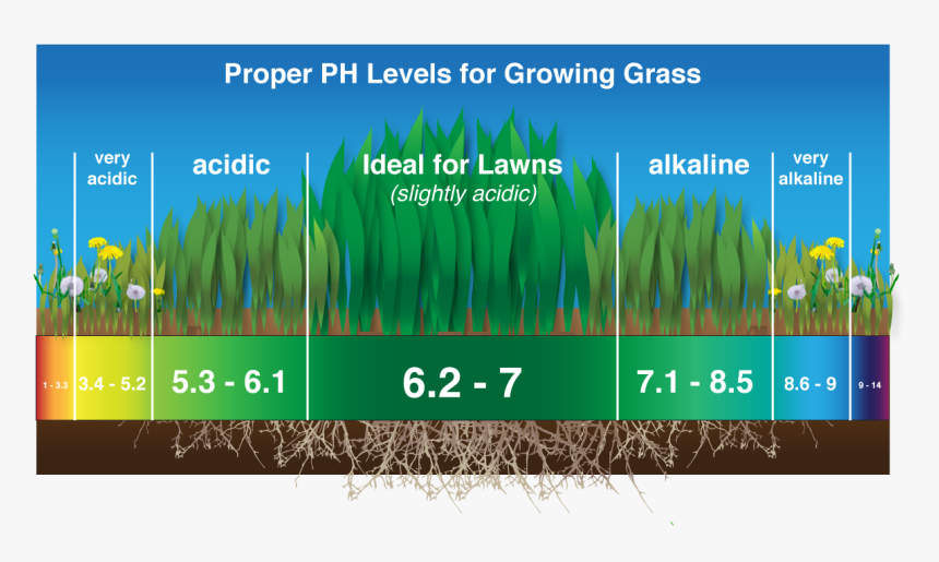 Image - Grass, HD Png Download