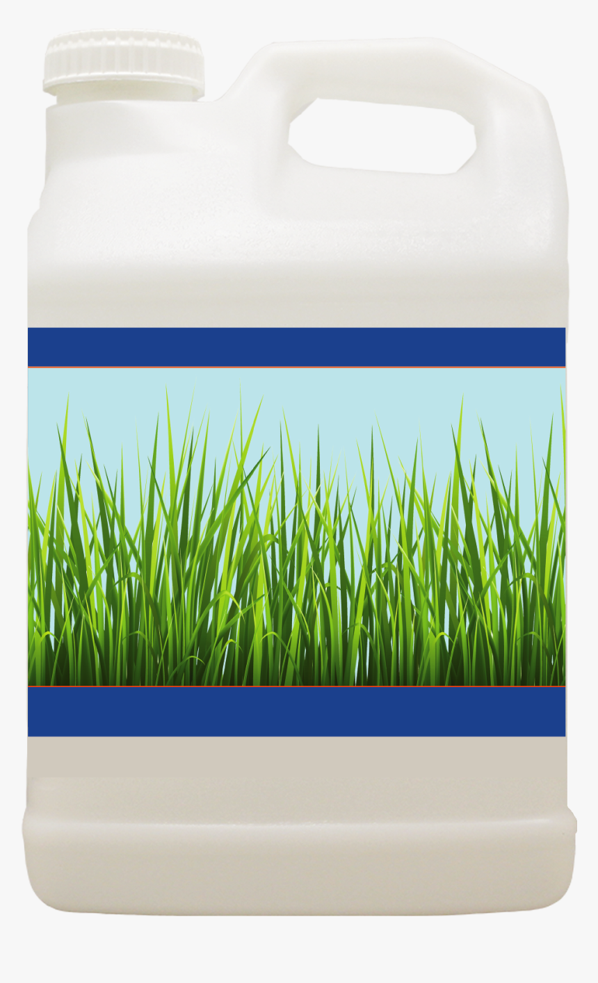 Water Bottle, HD Png Download