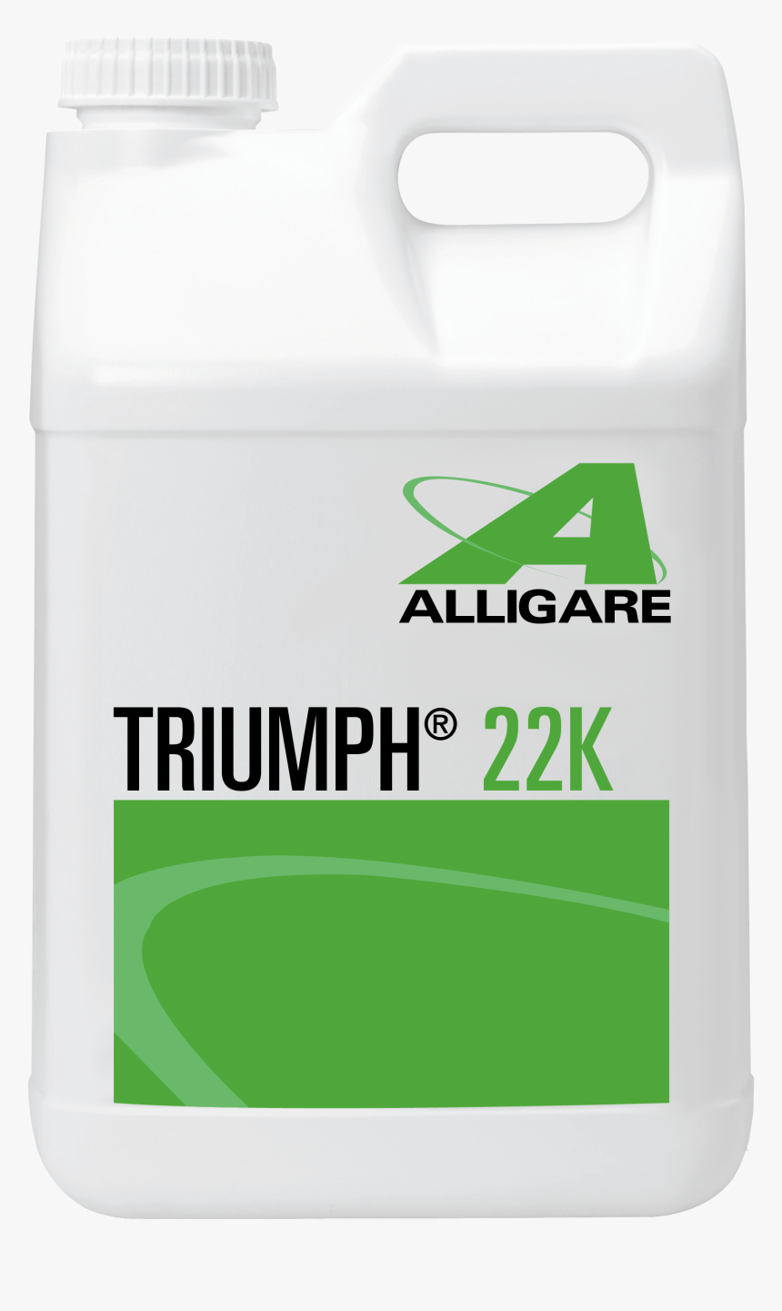 Triumph 22k Jug - Box, HD Png Download