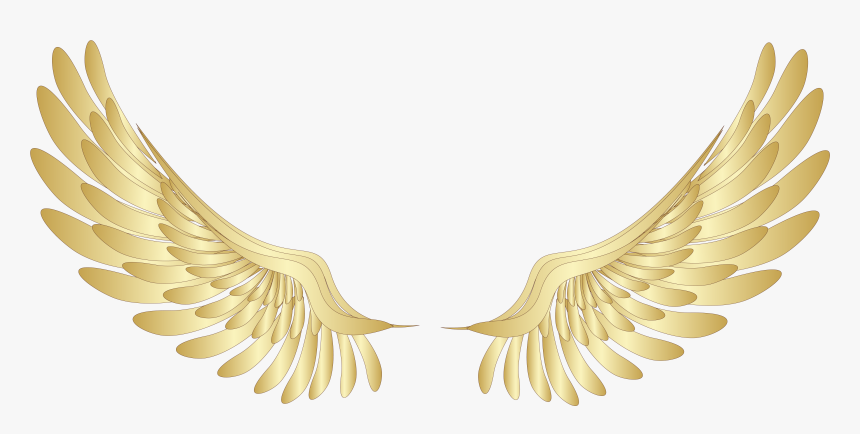 Golden Wings Png Pinterest - Angel Wings Png, Transparent Png