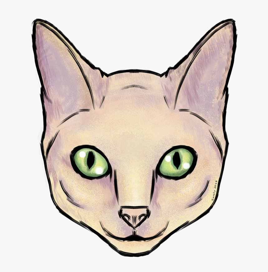 Cat S Face - Squitten, HD Png Download