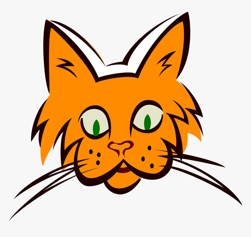 Cat, Face, Orange, Ears, Fur, Whiskers - Whisker Clipart, HD Png Download
