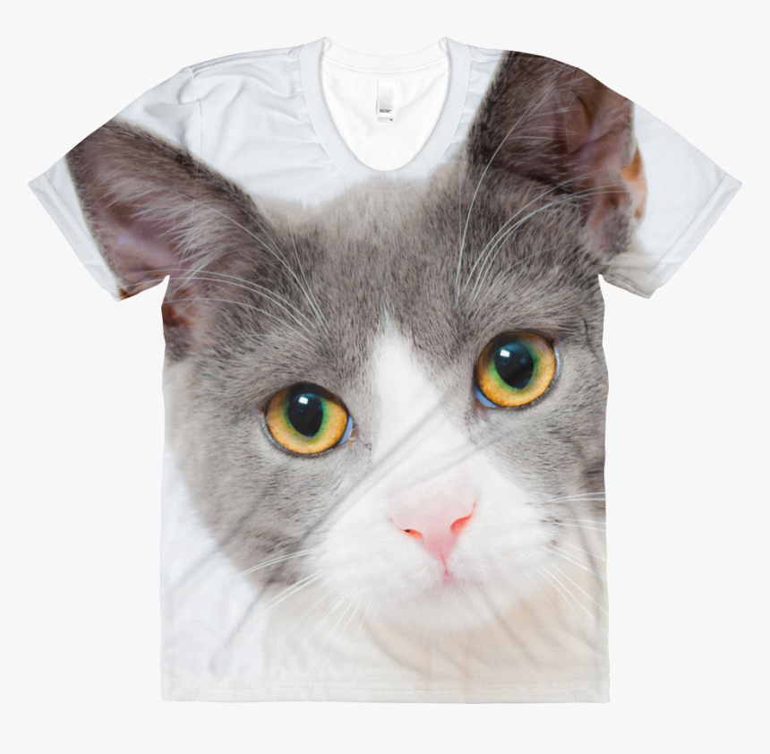 Transparent Cute Cat Png - Cat Face 1080p, Png Download