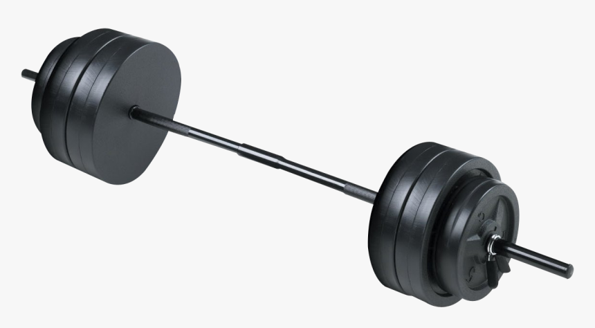 Barbell Hd Png Transparent - Transparent Gym Equipment Png, Png Download