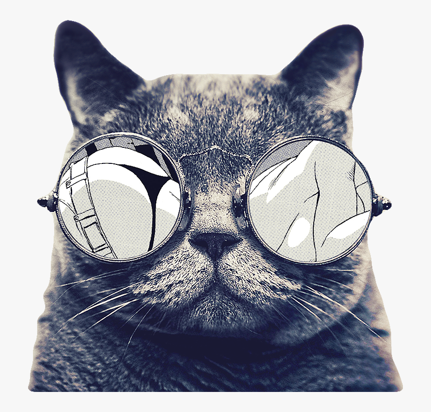 Cat Face Png, Transparent Png