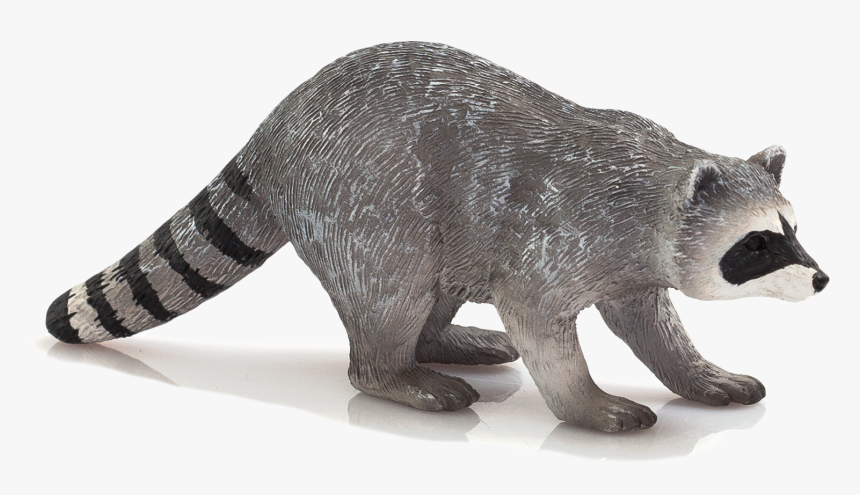 Raccoon Png Transparent Image - Raccoon Mojo, Png Download