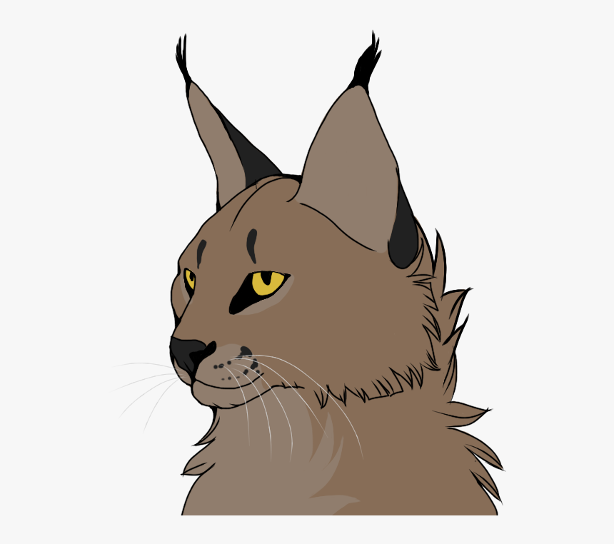 Kitten Wildcat Whiskers Caracal - Caracal Animation, HD Png Download