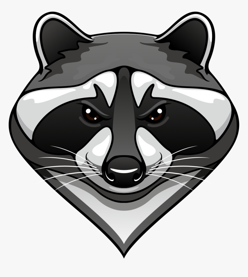 Mascotte Raton Laveur, HD Png Download