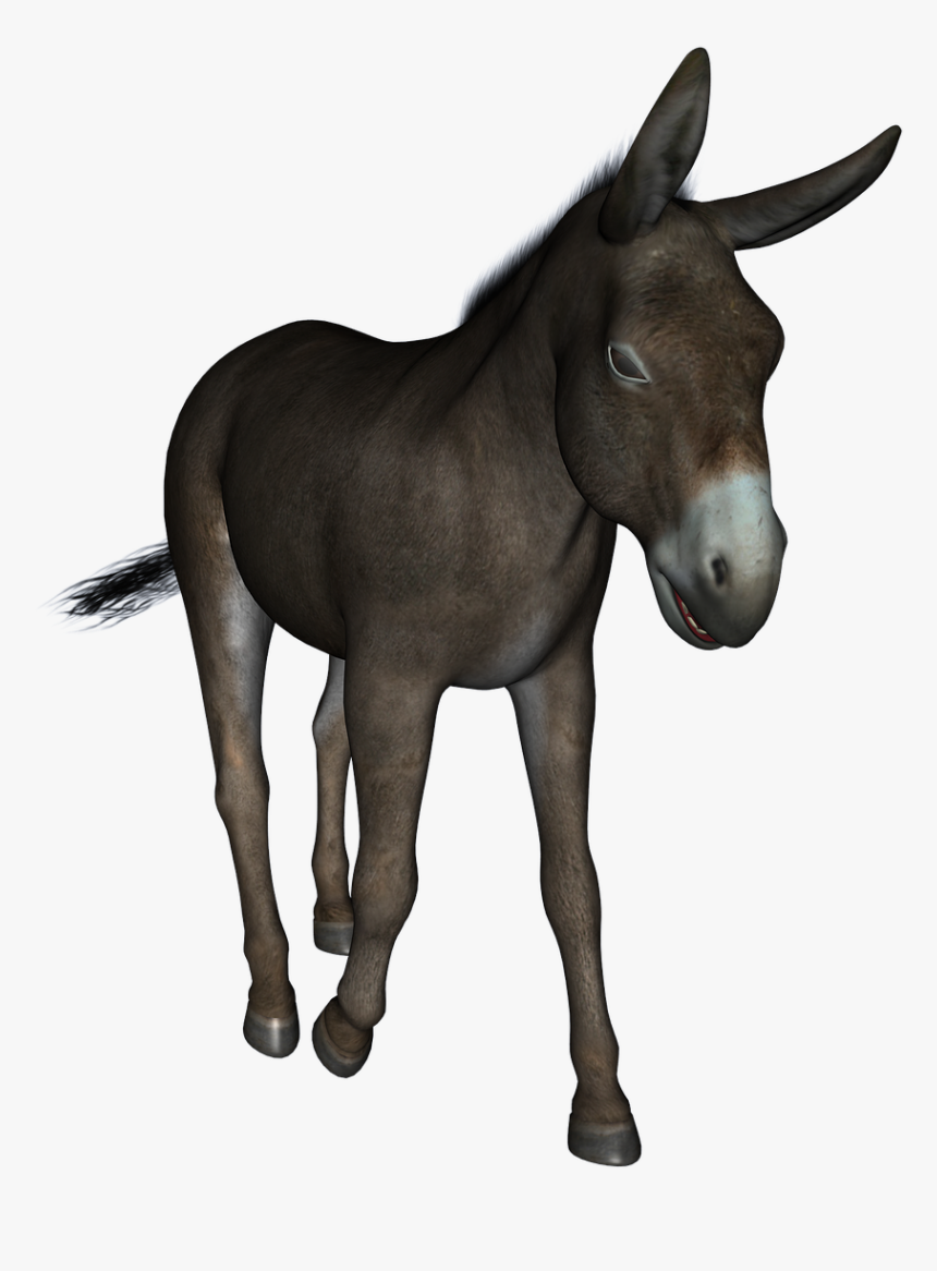 Jogo Do Bicho Burro, HD Png Download
