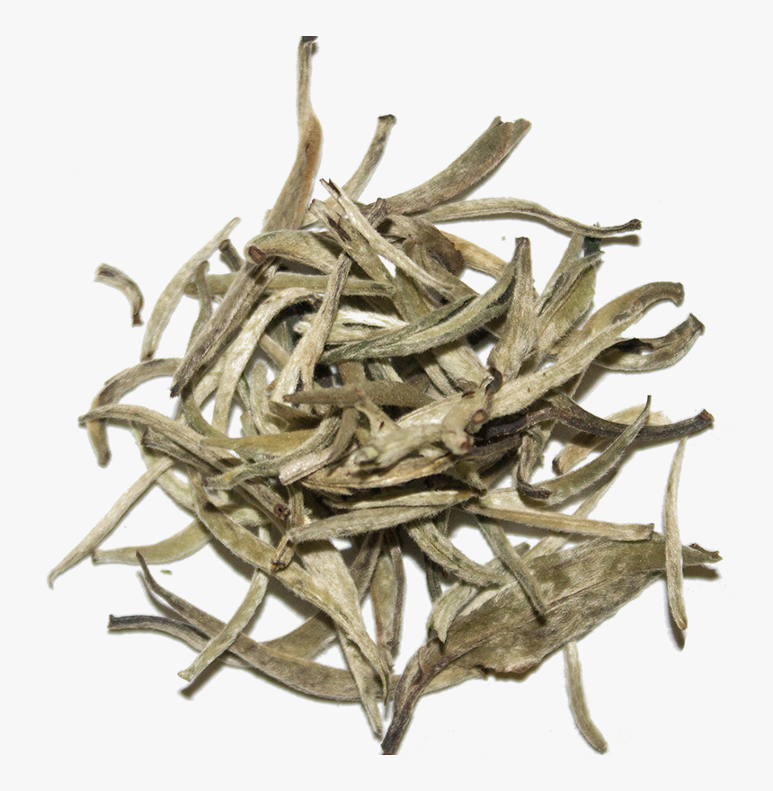 Silver - White Tea, HD Png Download