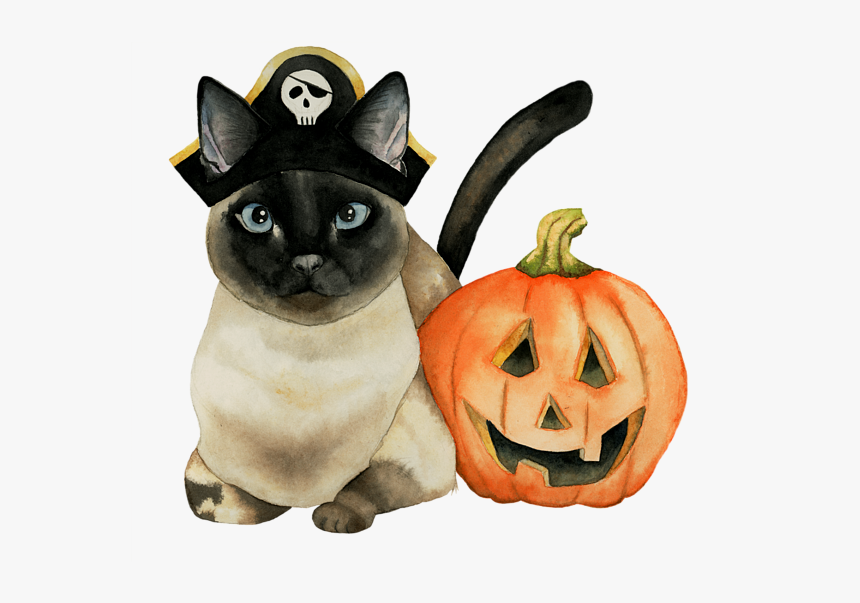 Halloween Siamese Cat, HD Png Download