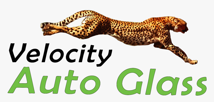 Velocity Auto Glass - Cheetah Running, HD Png Download