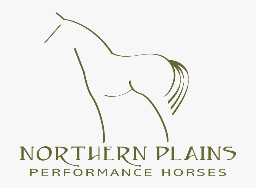 Transparent Freckles Png - Municipality Of Kincardine, Png Download