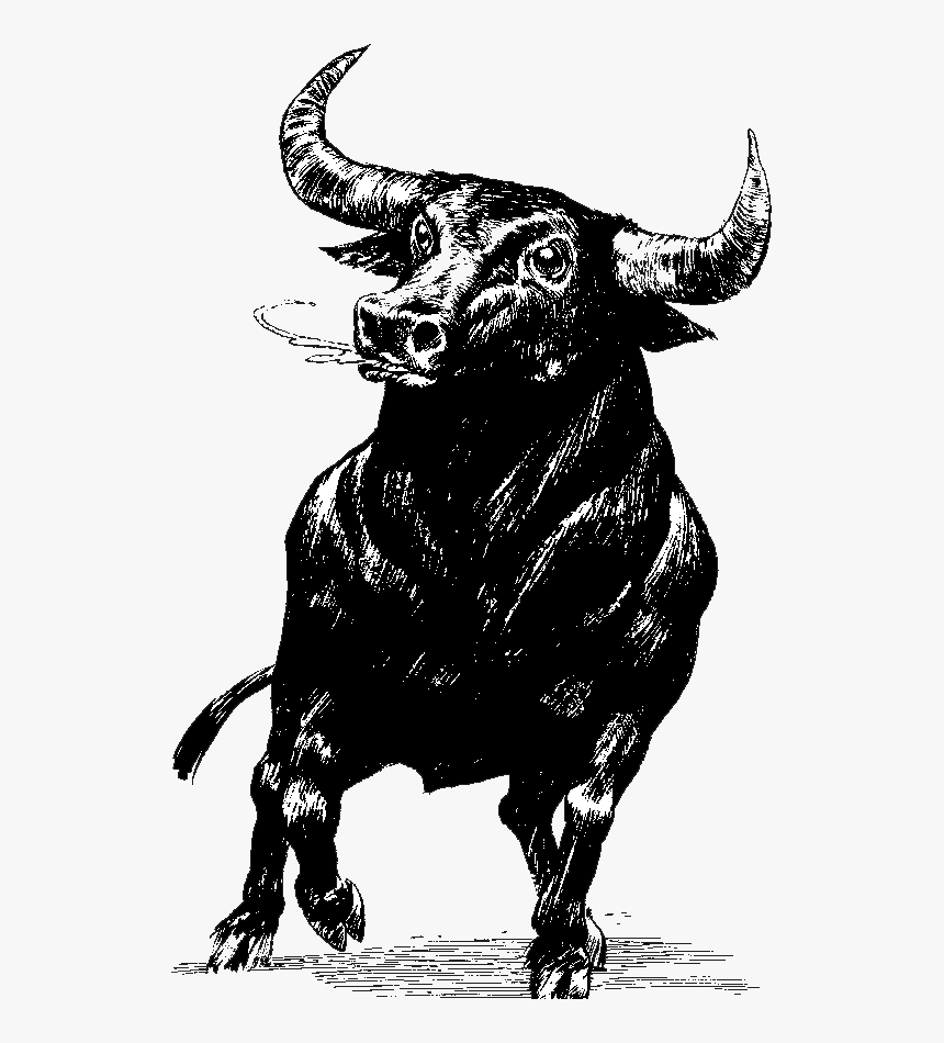 Bull Transparent Png - Not My Cows Not My Bullshit, Png Download