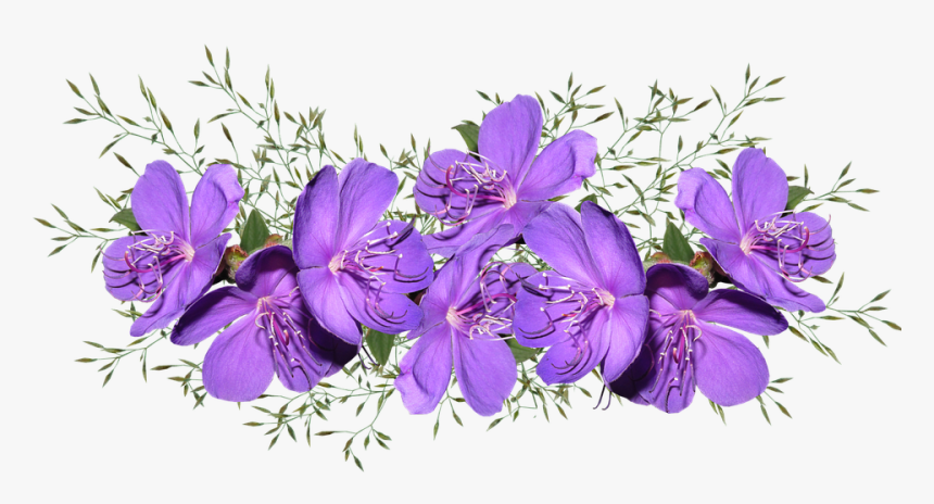 Purple Pink Flower Png, Transparent Png