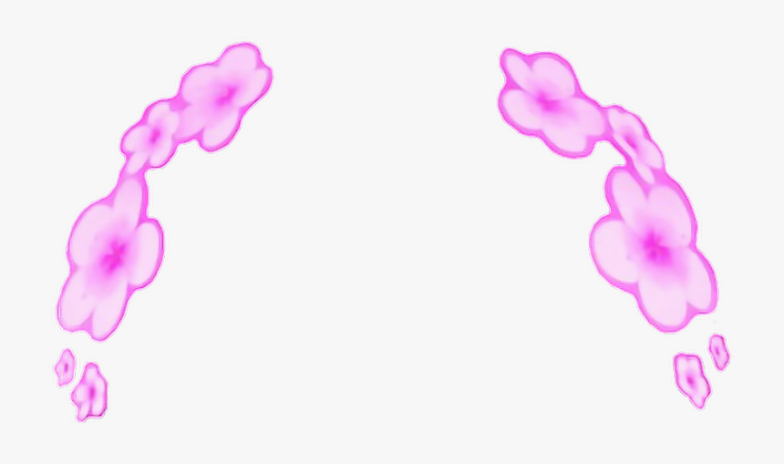 Photographic Filter Clip Art - Snapchat Filter Transparent Background, HD Png Download