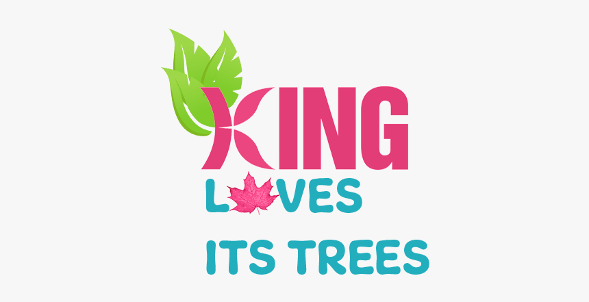 Graphic Design, HD Png Download