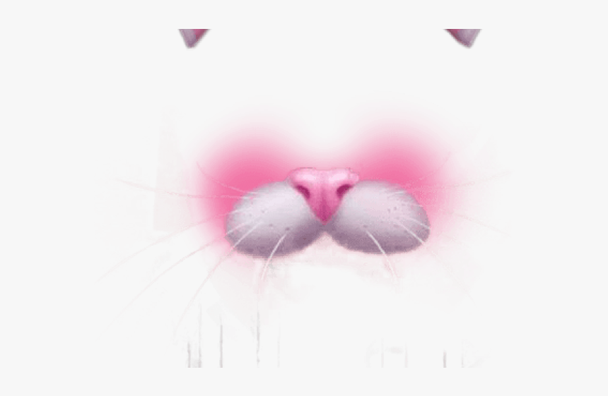 Snapchat Filters Png Transparent Images - Filtros De Snapchat Png Gato, Png Download