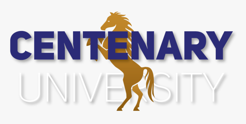 Poster, HD Png Download