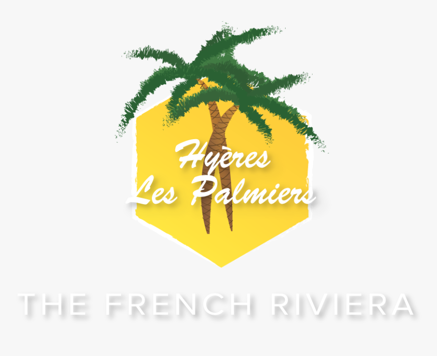 Palm Tree, HD Png Download