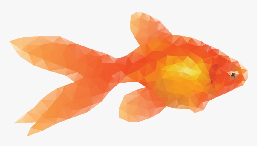 Gold Fish Graphic, HD Png Download