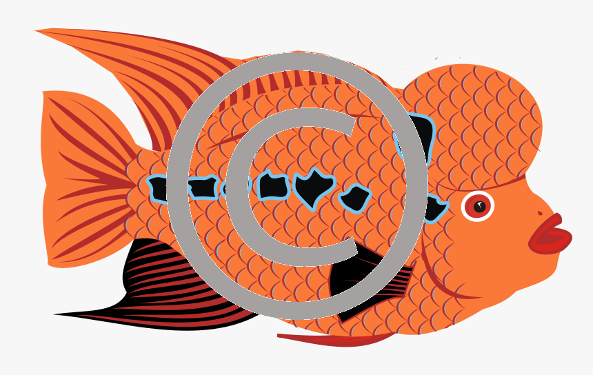 Flowerhorn Drawing Easy, HD Png Download