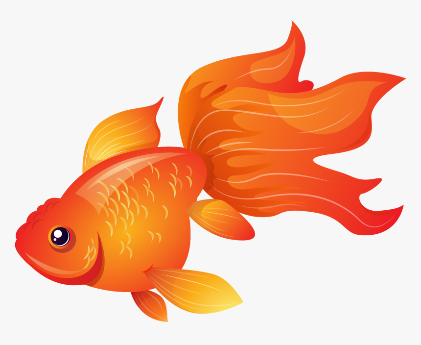 Goldfish, HD Png Download