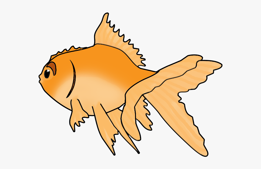Goldfish Clip Art, HD Png Download