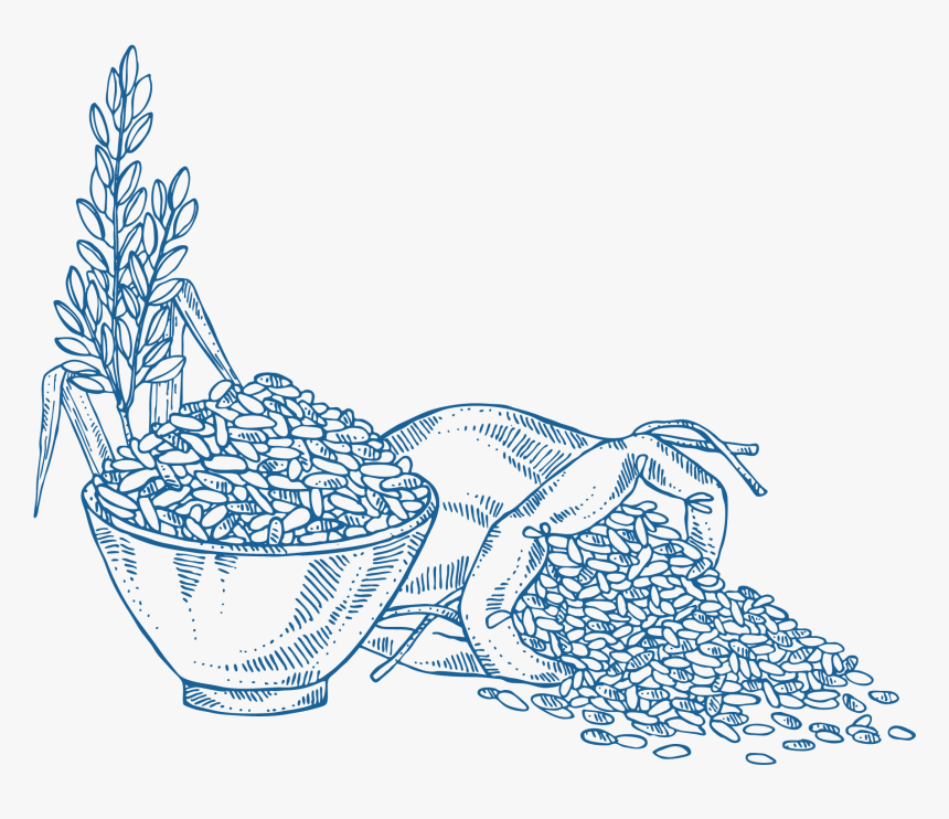 Drawing, HD Png Download