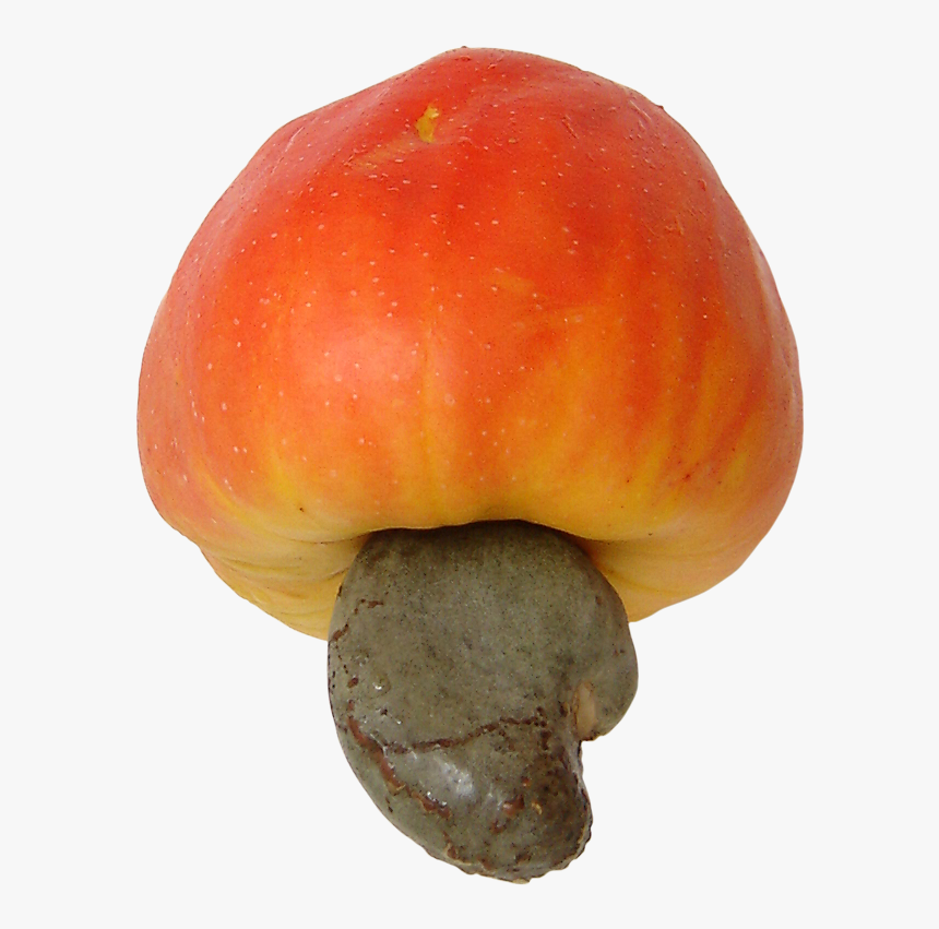 Fruits Transparent File - Cashew Fruit Transparent, HD Png Download