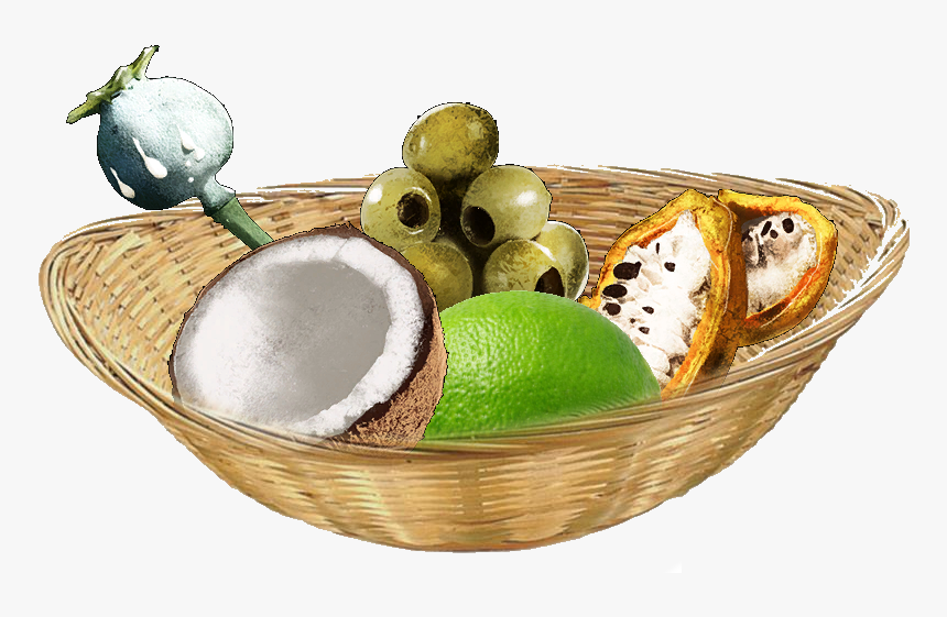 Fruits - Fruit, HD Png Download