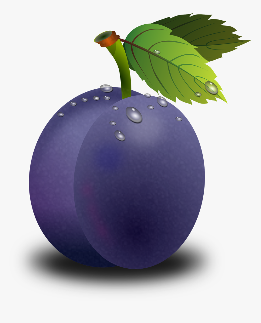 Plum Clipart, HD Png Download