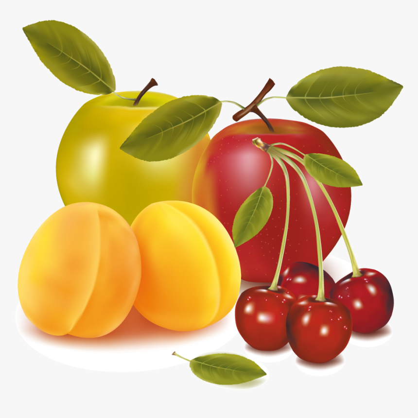 Fruit Drawing Clip Art - Oxalic Acid Use In Agri, HD Png Download