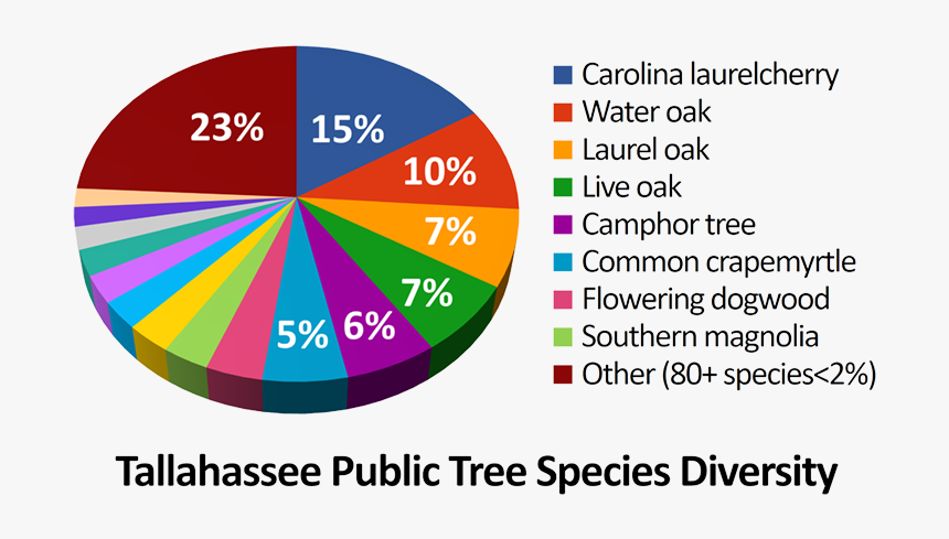Species - Diversified Crop Insurance, HD Png Download