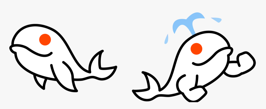 Reddit Mr Splashy Pants, HD Png Download