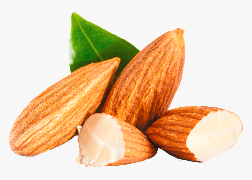 Almond Png Clipart - Almond Clipart Png, Transparent Png