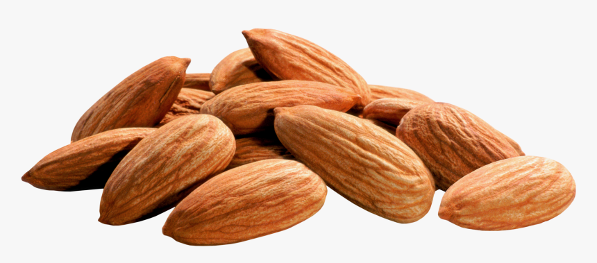 Almond Png Image, Transparent Png