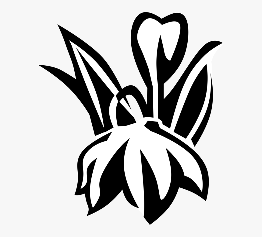 Vector Illustration Of Blue Eyed Grass Satin Flower - Emblem, HD Png Download