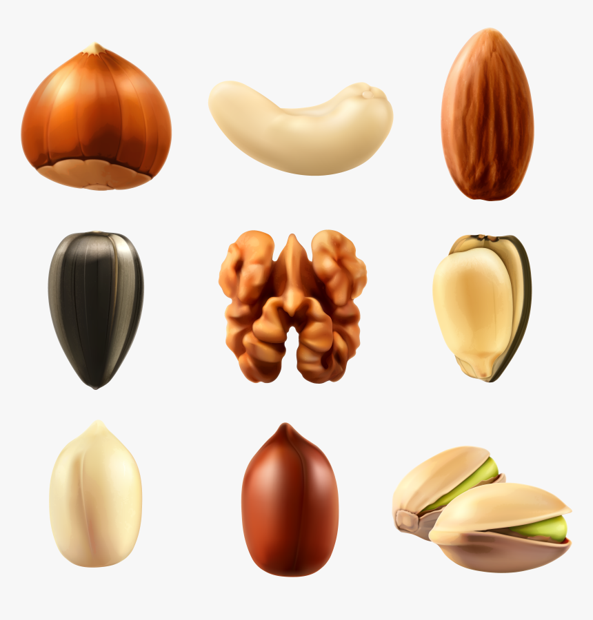 Dry Fruits Vector Png , Png Download - Nuts Png Vector, Transparent Png