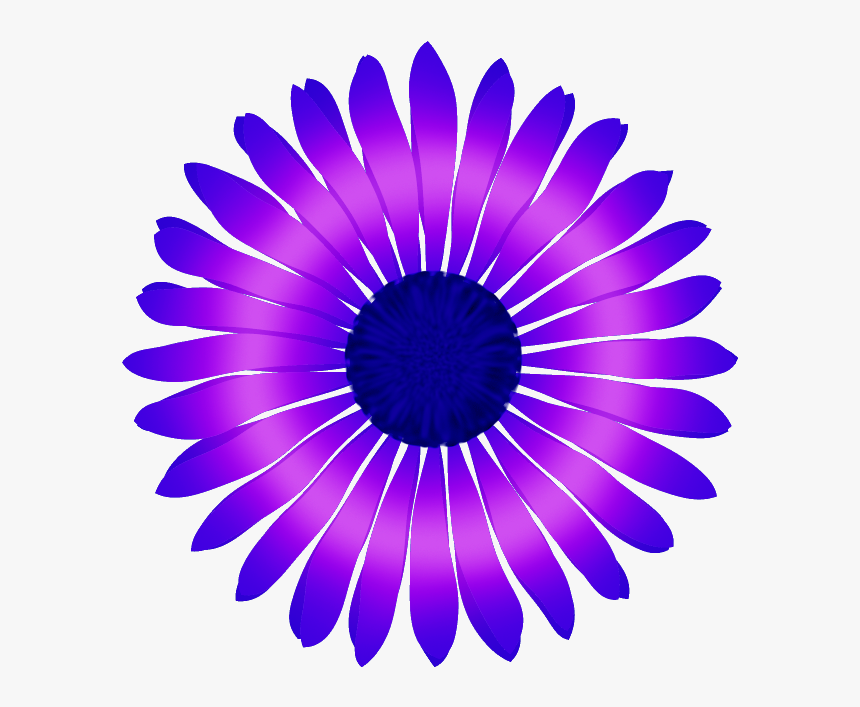 2019 Blanco Y Negro, HD Png Download