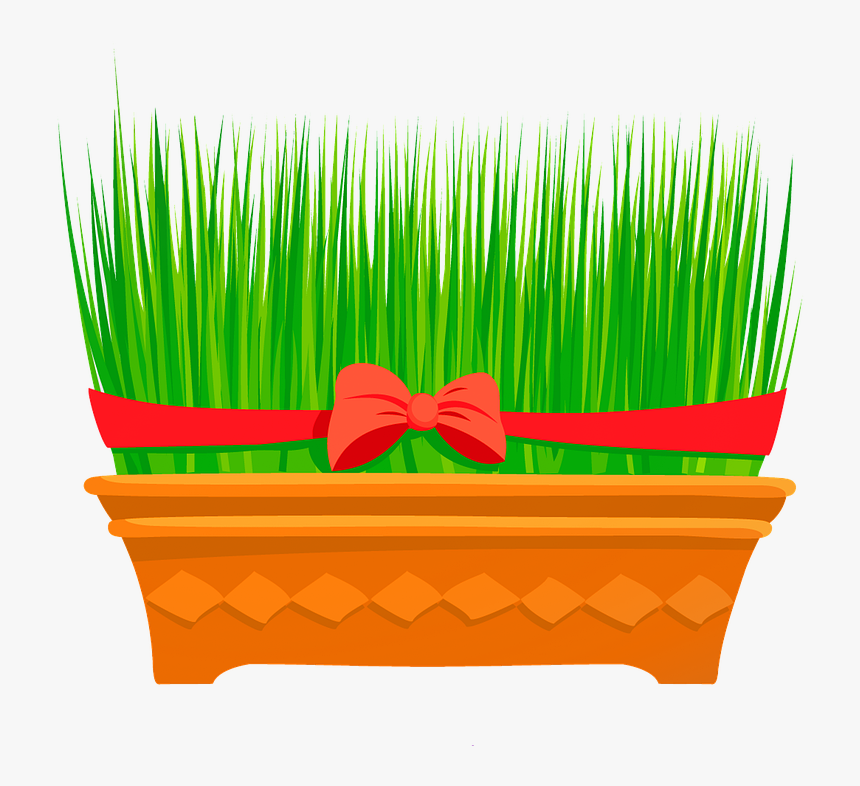 Wheat Grass, Flower, Season, Outdoor, Color - Wheatgrass Png, Transparent Png