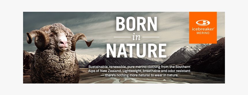 App - Icebreaker Brand, HD Png Download