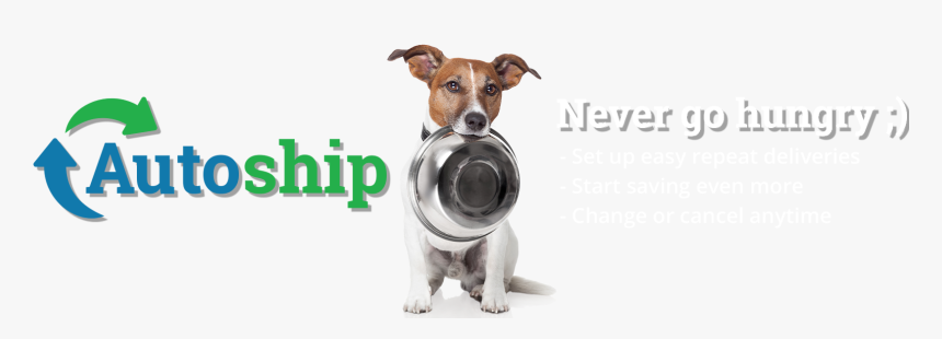 Companion Dog, HD Png Download