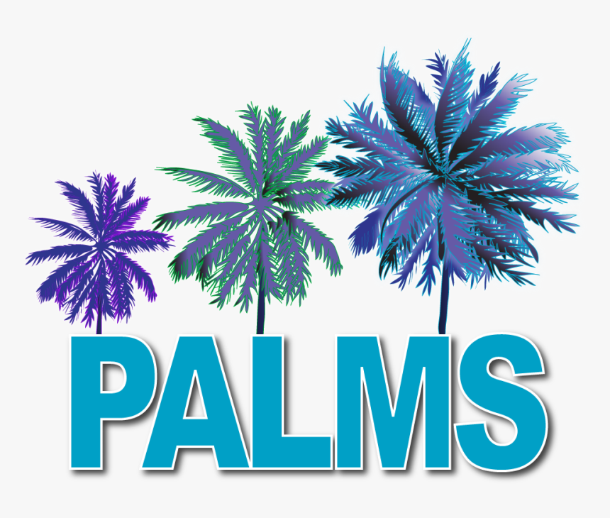 Attalea Speciosa, HD Png Download