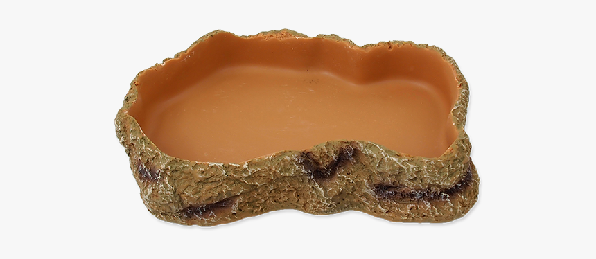 Miska Na Krmení Repti Planet, HD Png Download