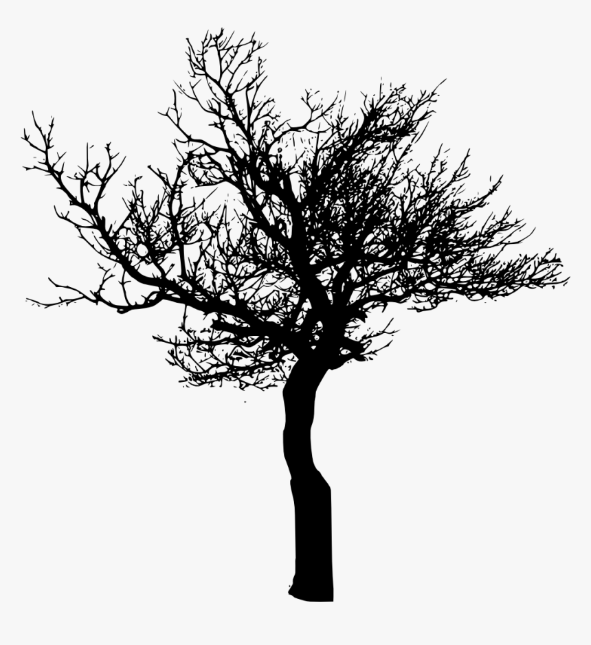 Tree-silhouette - Transparent Background Tree Silhouette Png, Png Download