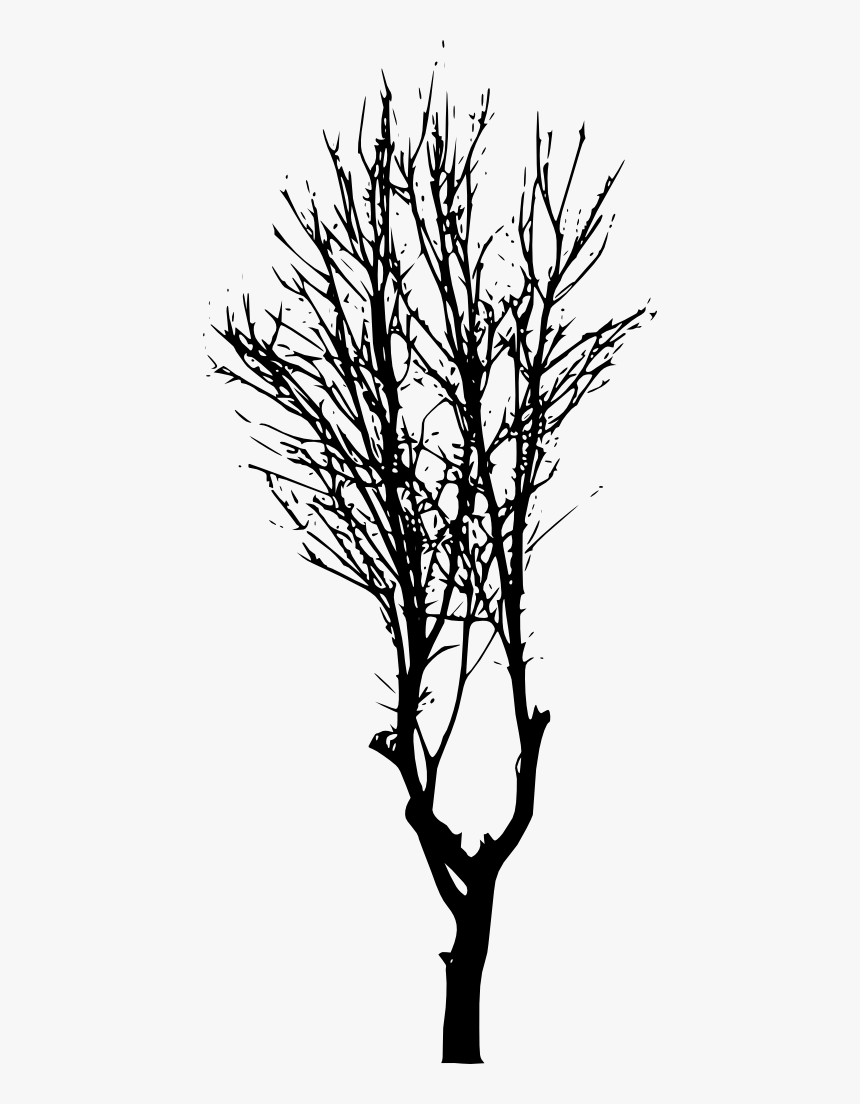 Tree-silhouette - Forest Trees Silhouette Png, Transparent Png