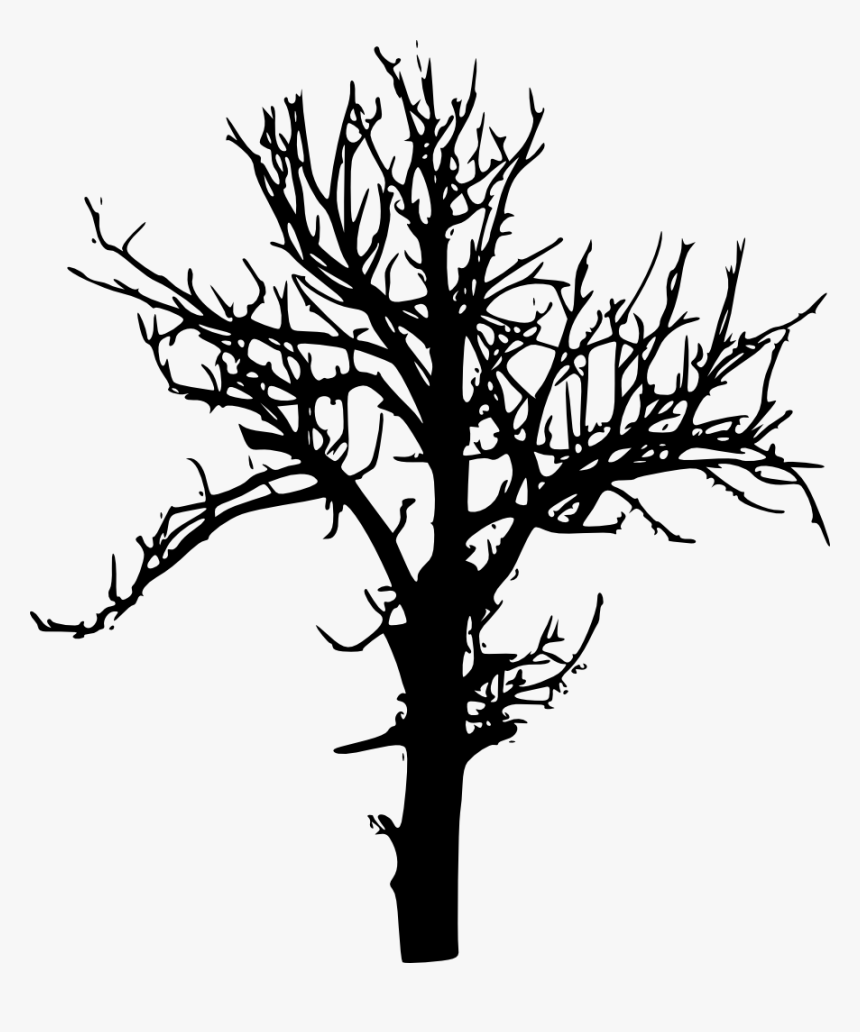 Tree-silhouette - Tree Silhouette No Background, HD Png Download