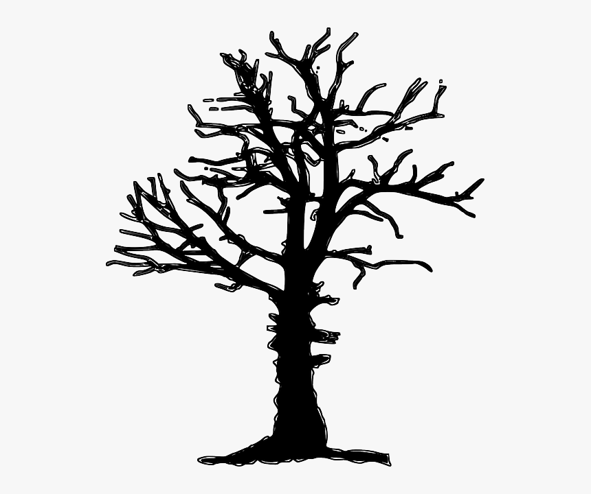 Plant Forest Dieback, Forest Decline, Tree, Dead, Dry, - Dead Tree Silhouette Png, Transparent Png